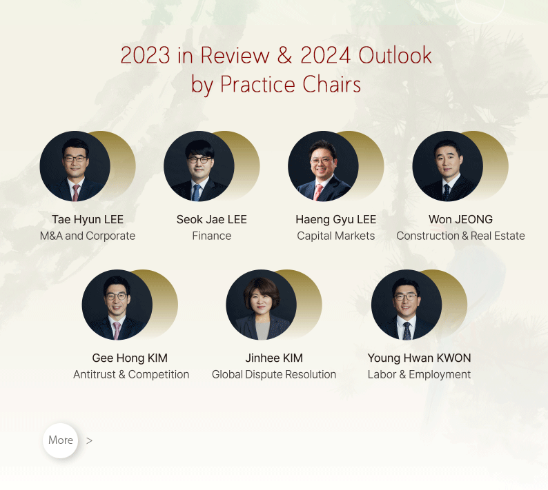 2023 in Review & 2024 Outlook by Practice Chairs