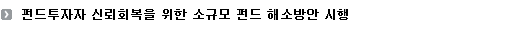 펀드투자자 신뢰회복을 위한 소규모 펀드 해소방안 시행