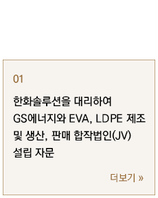 한화솔루션을 대리하여 GS에너지와 EVA, LDPE 제조 및 생산, 판매 합작법인(JV) 설립 자문