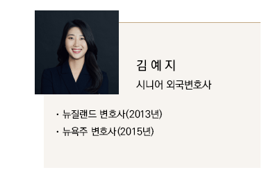 김예지 시니어 외국변호사