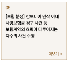 [보험 분쟁] 캄보디아 만삭 아내 사망보험금 청구 사건 등 보험계약의 효력이 다투어지는 다수의 사건 수행