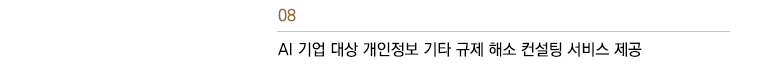 AI 기업 대상 개인정보 기타 규제 해소 컨설팅 서비스 제공