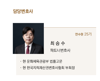 현 문화체육관광부 법률고문, 현 한국지적재산권변호사협회 부회장